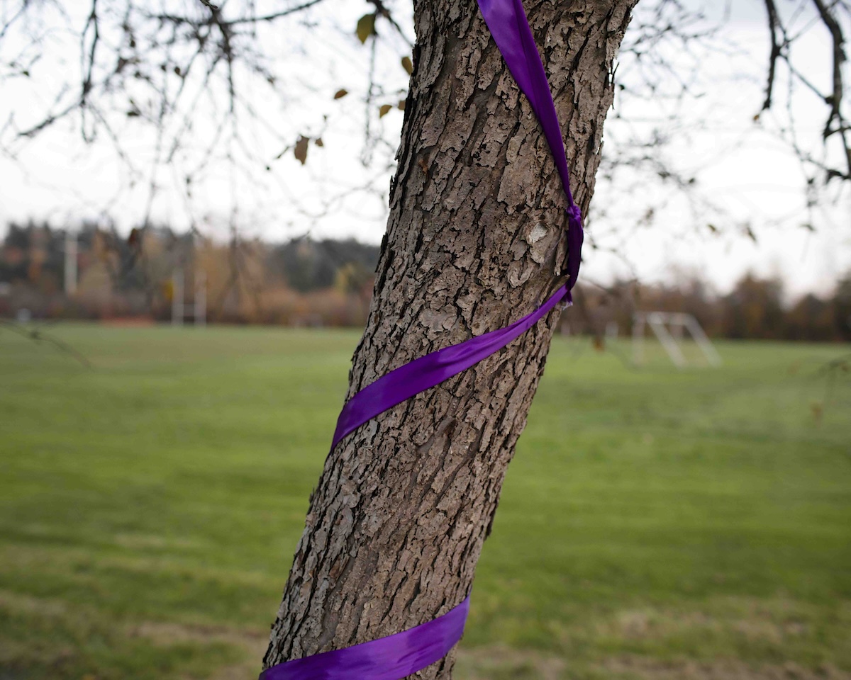 A tree trunk is encircled by purple ribbons. A grass field is in the background.