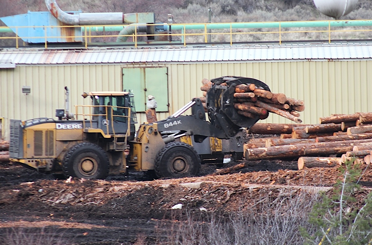 A logging vehicle called a skidder moves piled logs from a sort pile to a conveyer belt outside a mill.