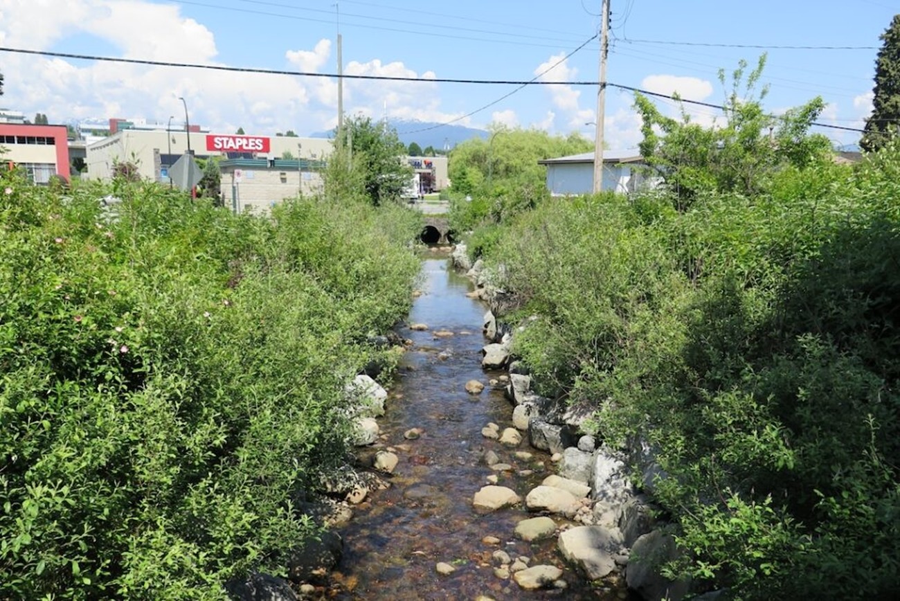 A small creek flanked by green bushes runs through an urban area. A Staples store can be seen in the background.