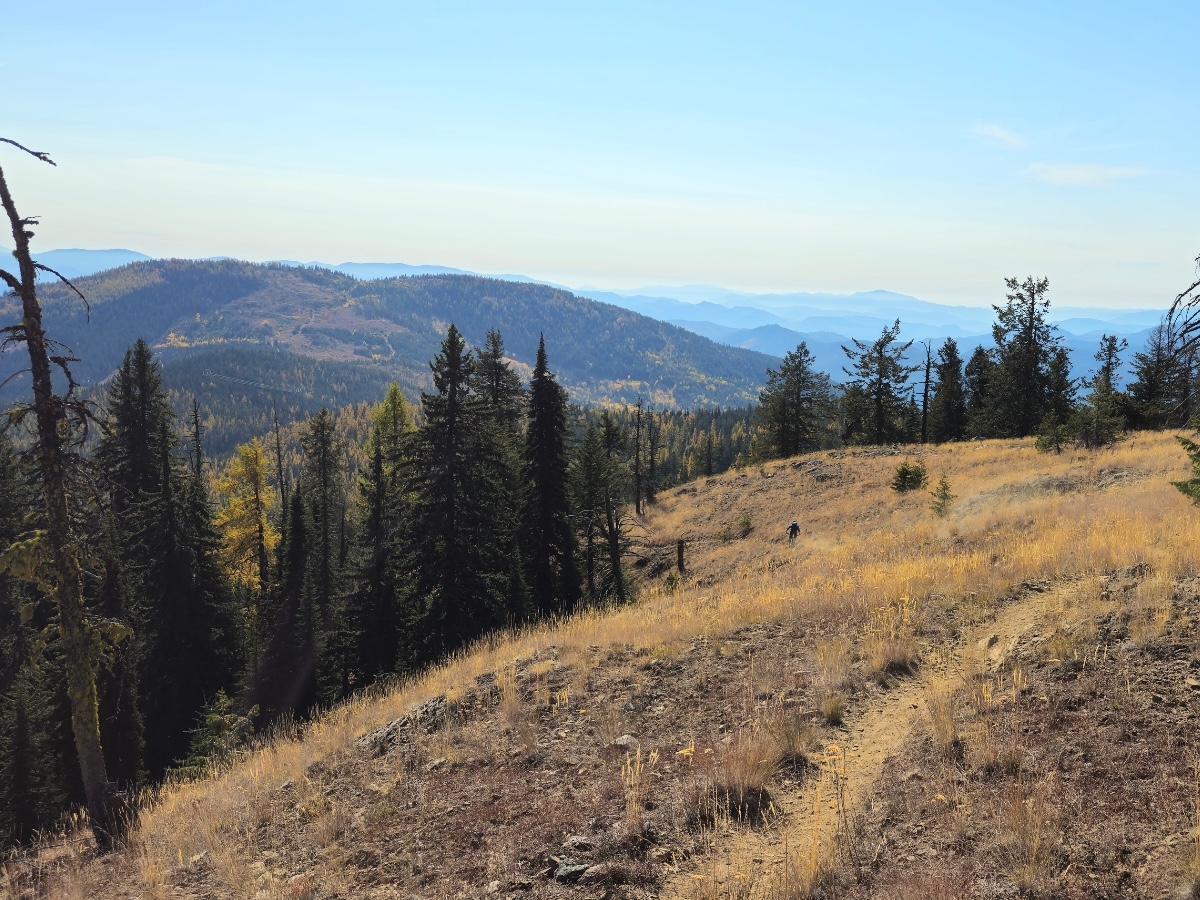 A gravel trail runs through a grassy meadow atop a rounded mountaintop in what appears to be early fall.
