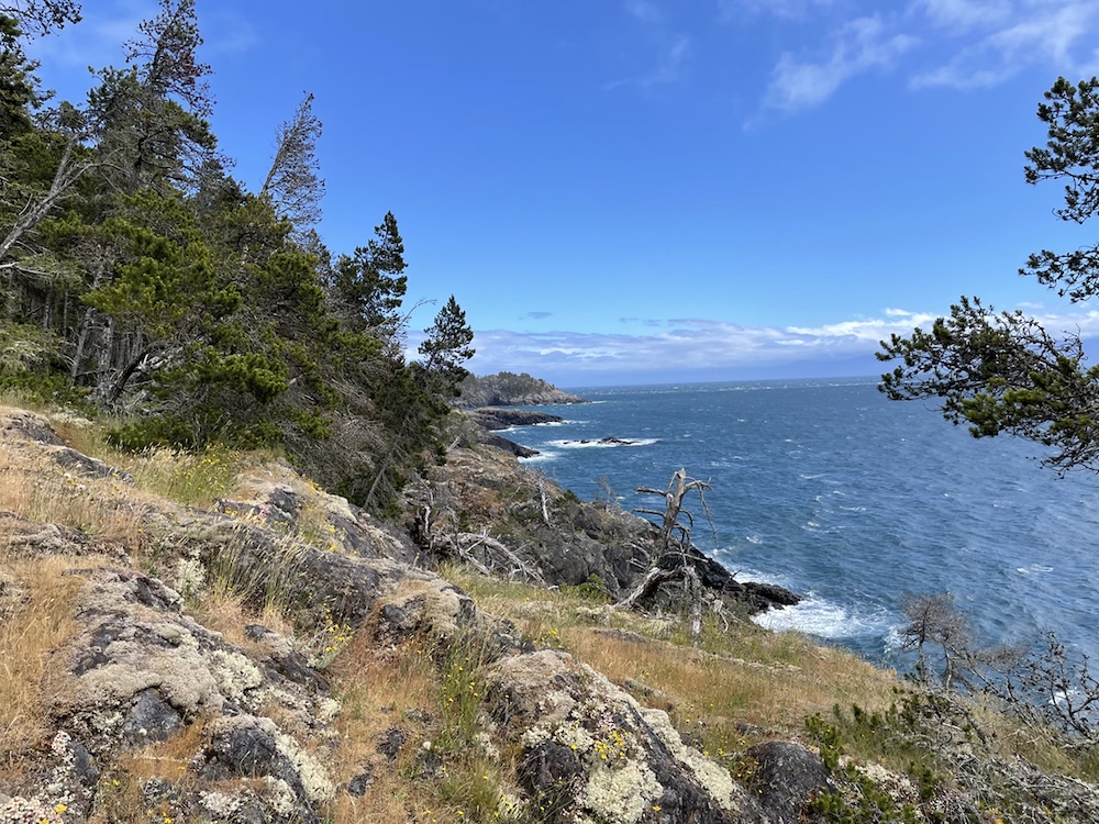 When a Public Park Is Open for Private Business