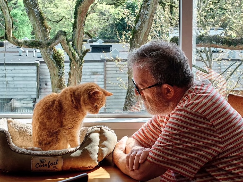 An older man with light-toned skin is beside an orange cat on a climbing structure.