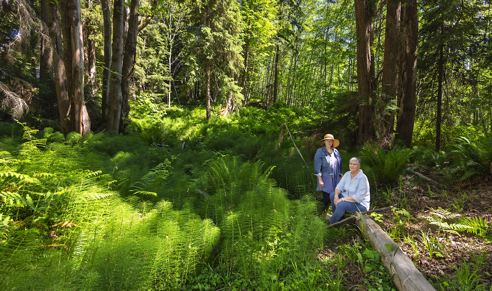 Two women sit on a log in the urban forest of Simms Creek.