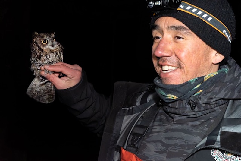 A man wearing a headlamp holds a western screech owl in his hand.