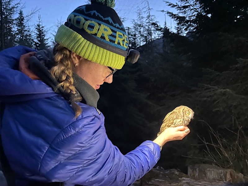 A woman wearing a tuque and puffer jacket holds a small owl. 