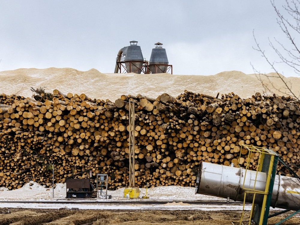 A stack of small logs is arranged in front of an even larger pile of sawdust.