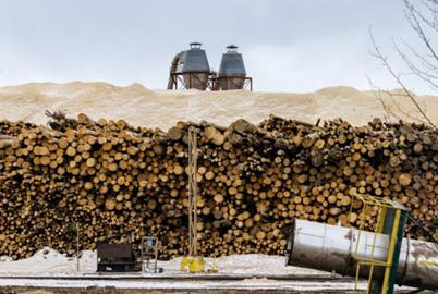 Millions in Forest ‘Enhancement’ Funds May Be Spurring More Logging