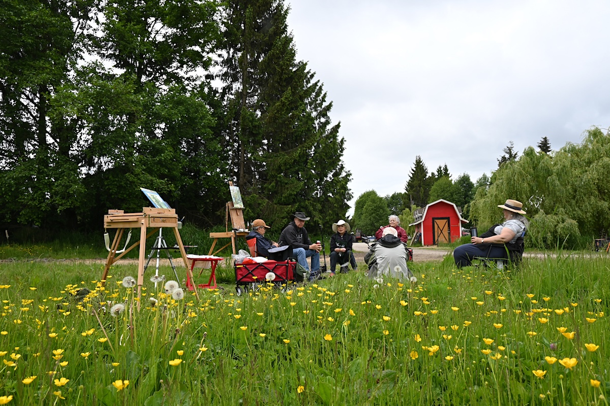 A group of six people sit in a loose circle in a grassy field filled with yellow buttercups. There are several art easels with canvases set up. A red barn and trees can be seen in the background.