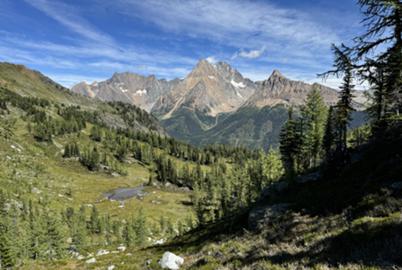 BC Announces Plans for Three New Indigenous-Led Conservation Areas