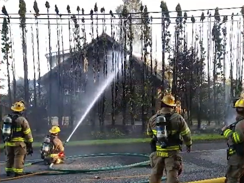 Cedar Hedges ‘Go Up Like a Roman Candle’ During Wildfires