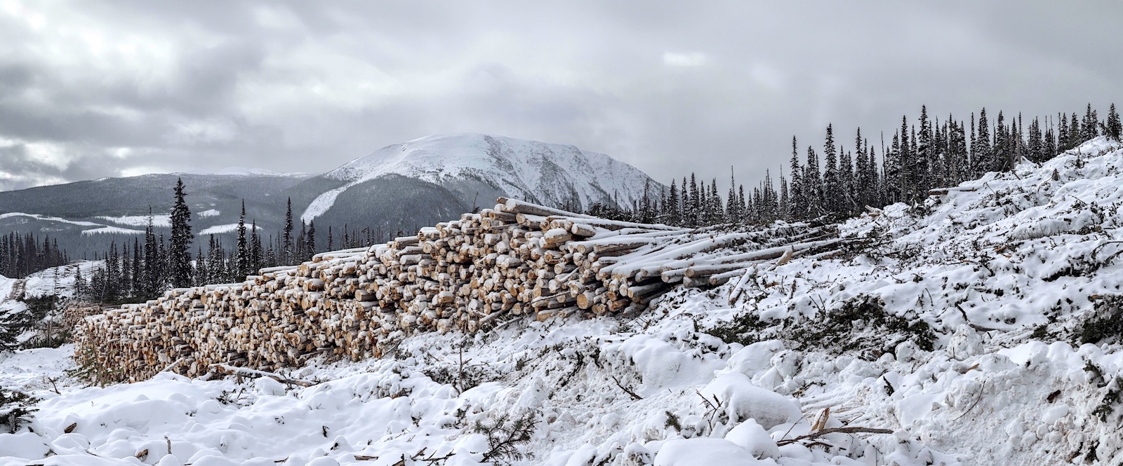 A large, long stack of small logs on a snowy plateau with a tall, rounded mountain in the distance.