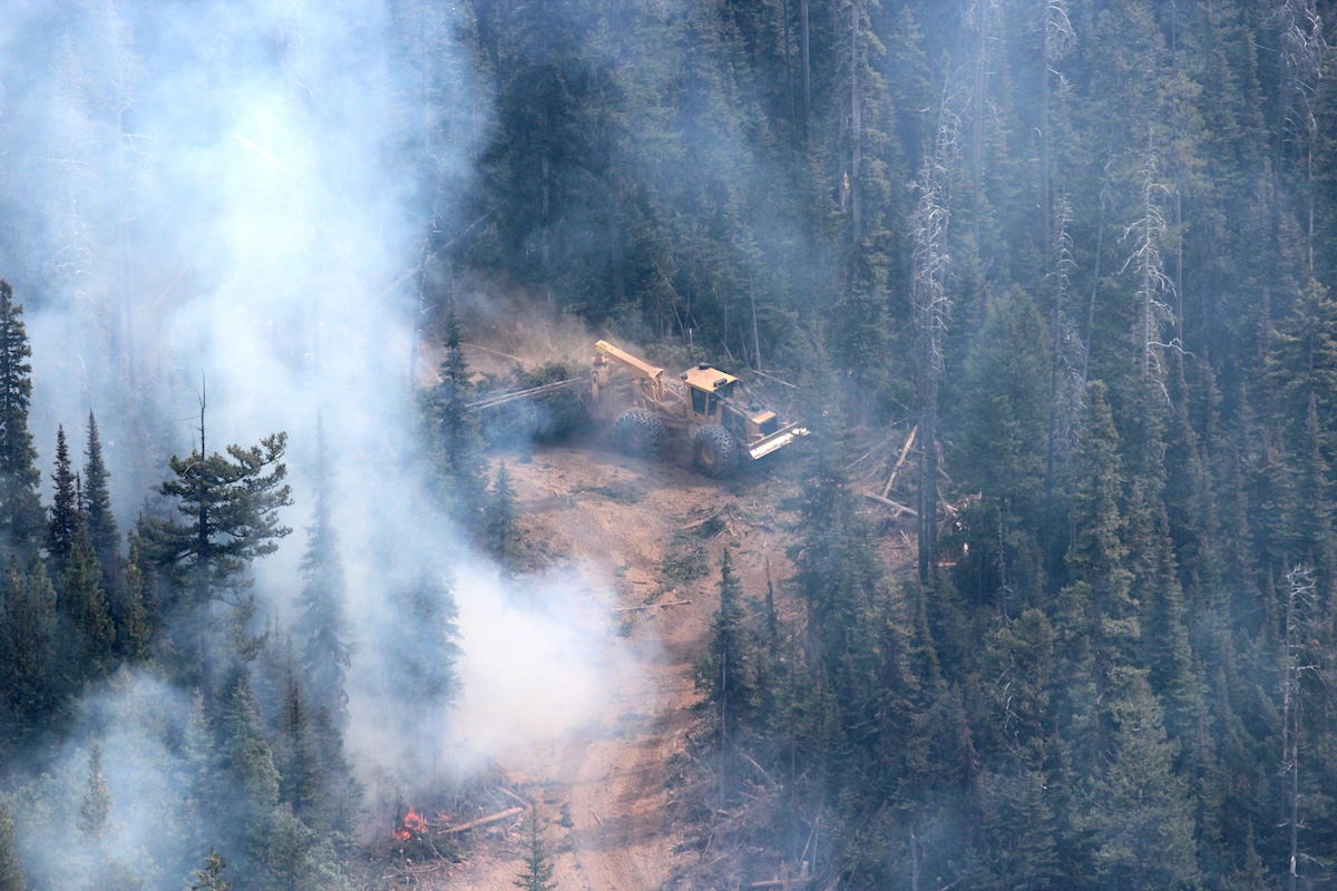 A piece of heavy machinery pulls cut trees along a new logging road. Flames can be seen licking at the road&rsquo;s edge.