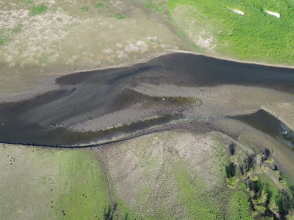 An aerial photo of a river shows it passing through parched land and narrowing through a gravel bar.
