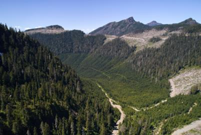 Will BC’s Land Zoning Plan Protect More Forests?
