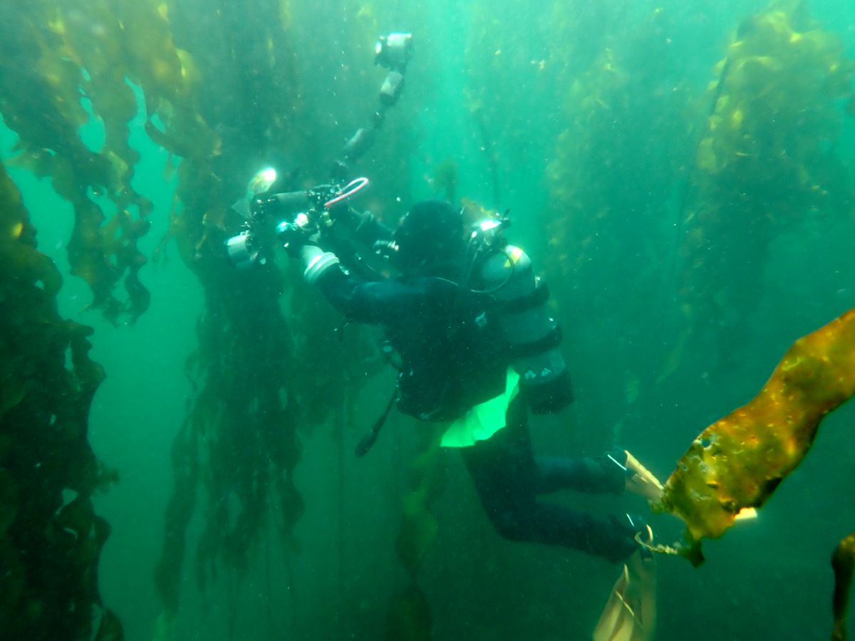 Jackie Hildering takes a photo underwater.