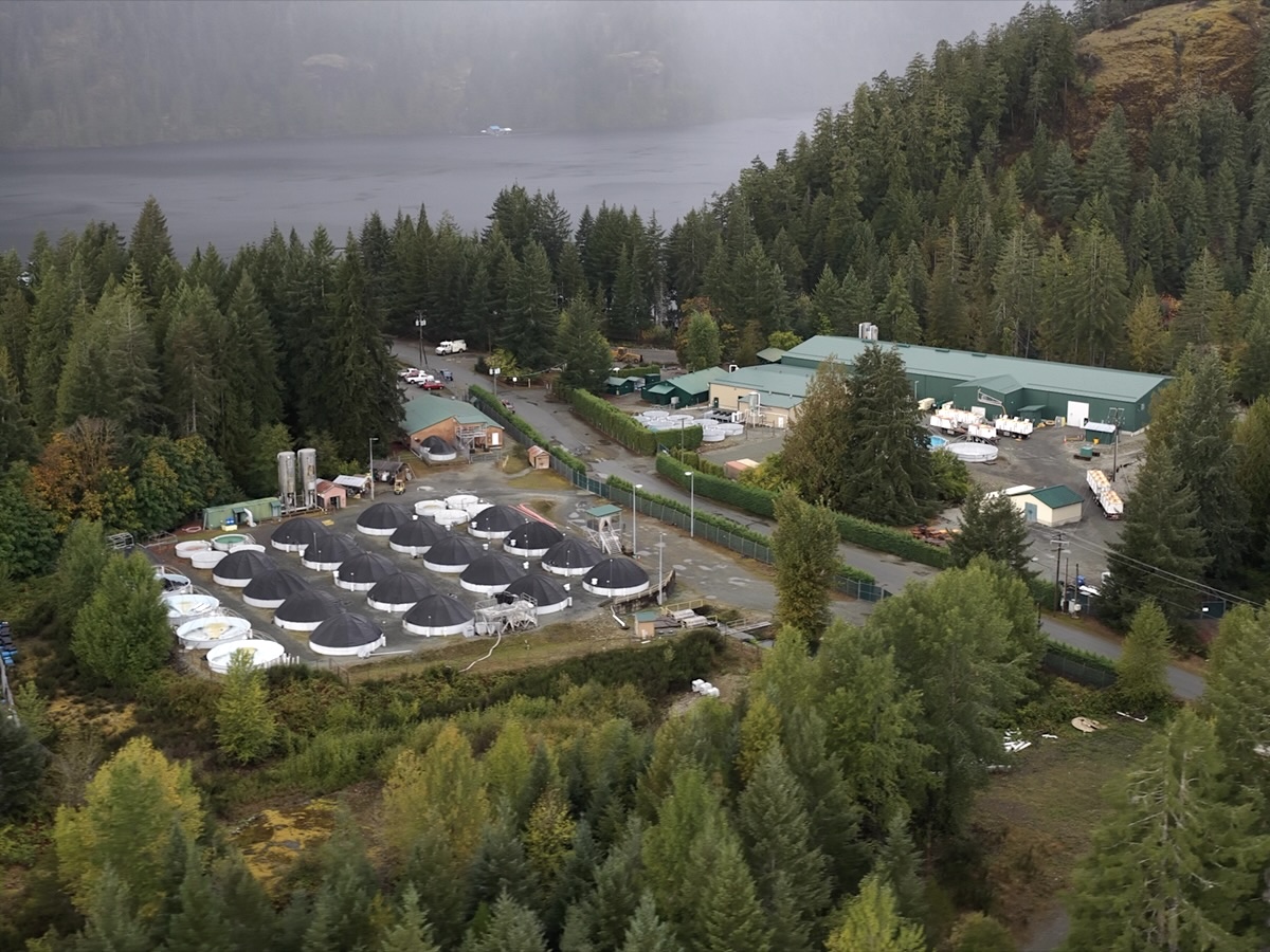 A foggy aerial view of a fish hatchery.