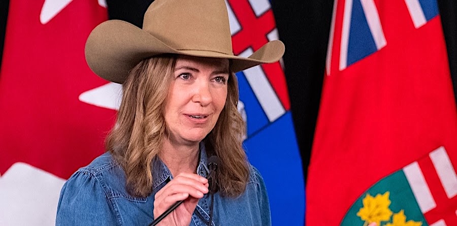A 50-ish light-skinned woman with long brown hair wears a brown cowboy hat and stands in front of flags.