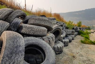 A Massive Tire Embankment Decays Along a Shuswap Lake