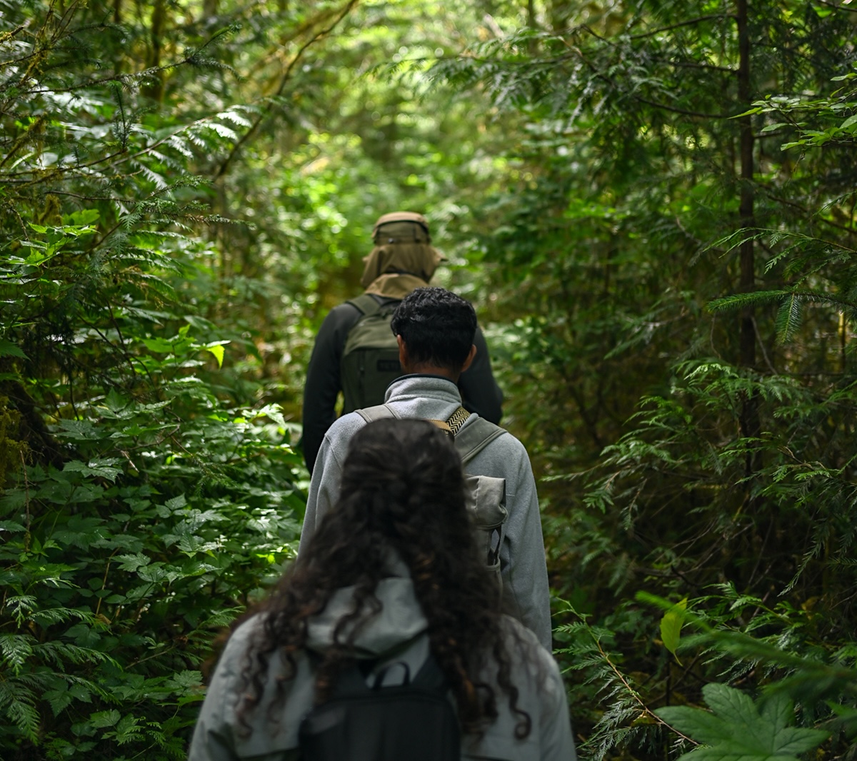 Three birders walk in the forest.