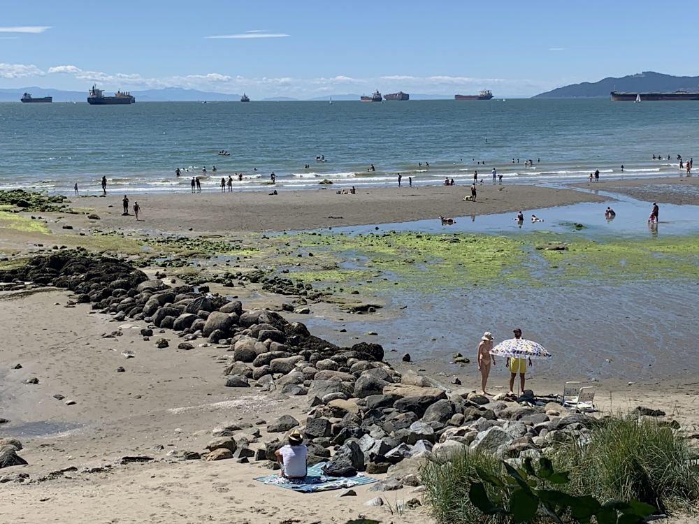 People swim in the ocean at Second Beach in Stanley Park.