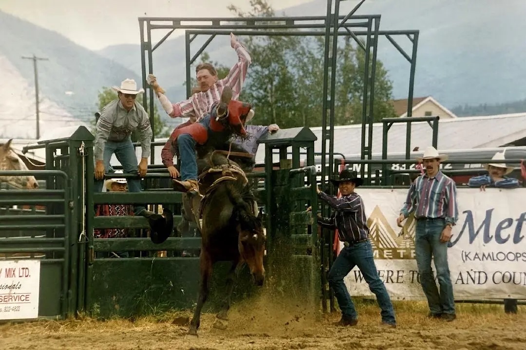 A man in jeans, chaps and a striped shirt is being bucked off a horse as it leaves the chutes.