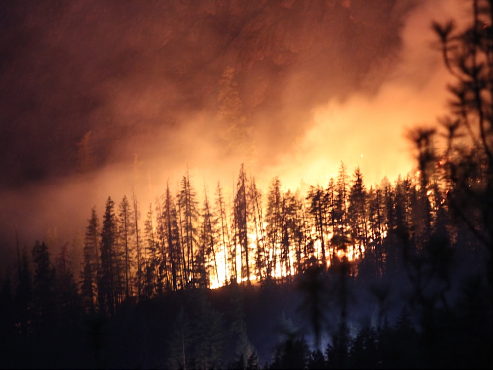Intense fire burns through a stand of trees at night; an emergency vehicle&rsquo;s lights are visible in the foreground.