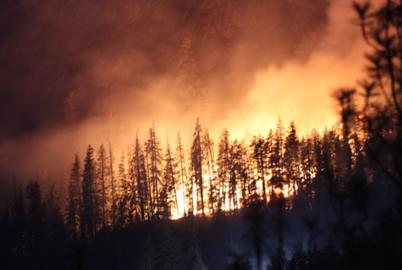 BC’s Parties Have Little to Say on Flood and Fire Prevention