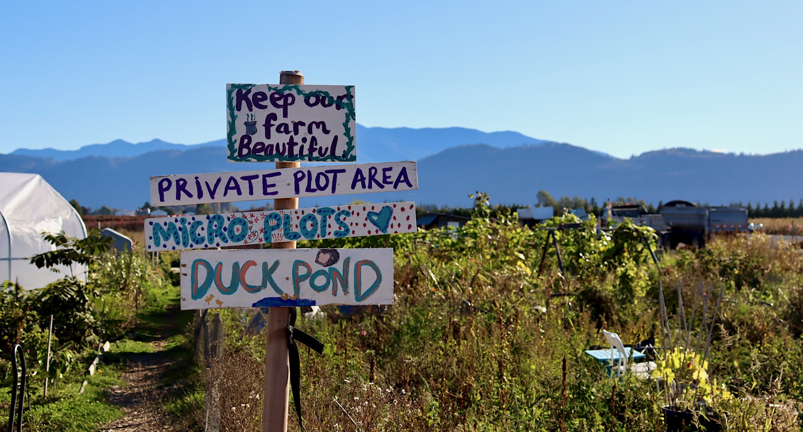 Handmade signs on a garden area on a farm say &lsquo;Duckpond,&rsquo; &lsquo;Microplots&rsquo; and &lsquo;Keep our farm beautiful.&rsquo;