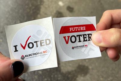 The Election Decided by People Who Stayed Home
