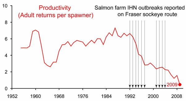 582px version of Sockeye Salmon Graph