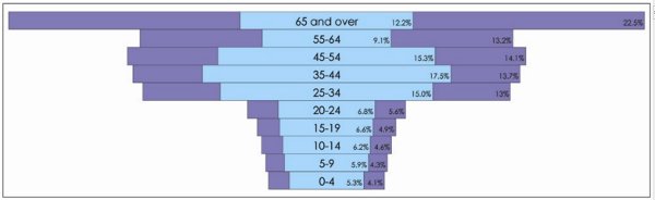 582px version of DemographicPyramid.jpg