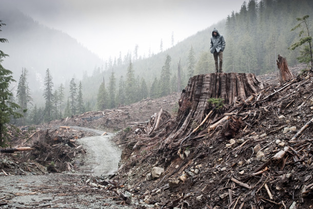 582px version of Clearcut on Vancouver Island