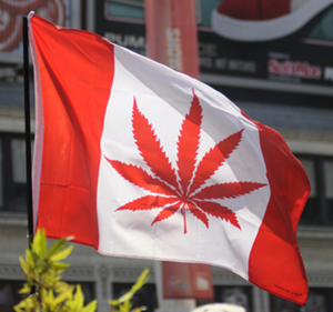 pot-flag-300px.jpg