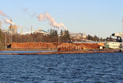 BC Quietly Cuts Penalty for Exporting Unprocessed Logs