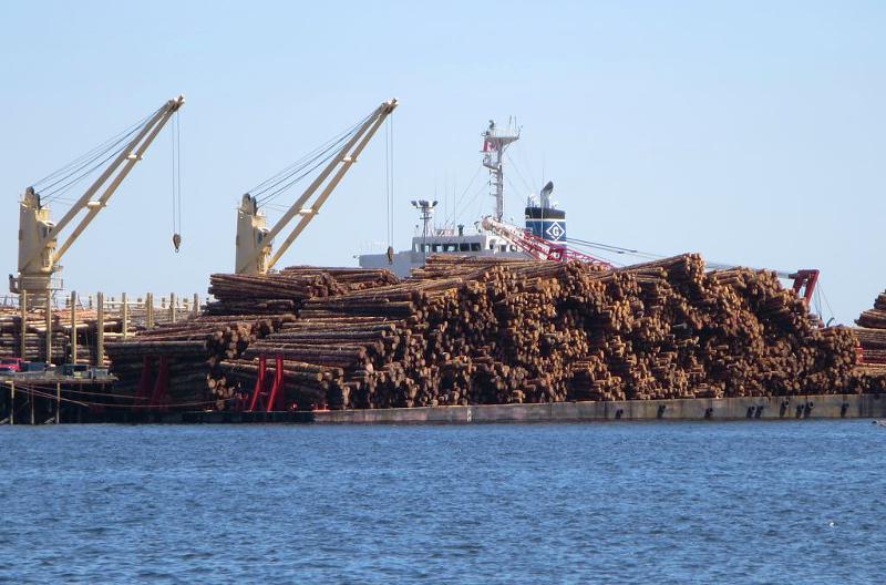 Raw Logs and Lost Jobs: How a Company’s ‘Value-Added’ Plans Mean More Log Exports