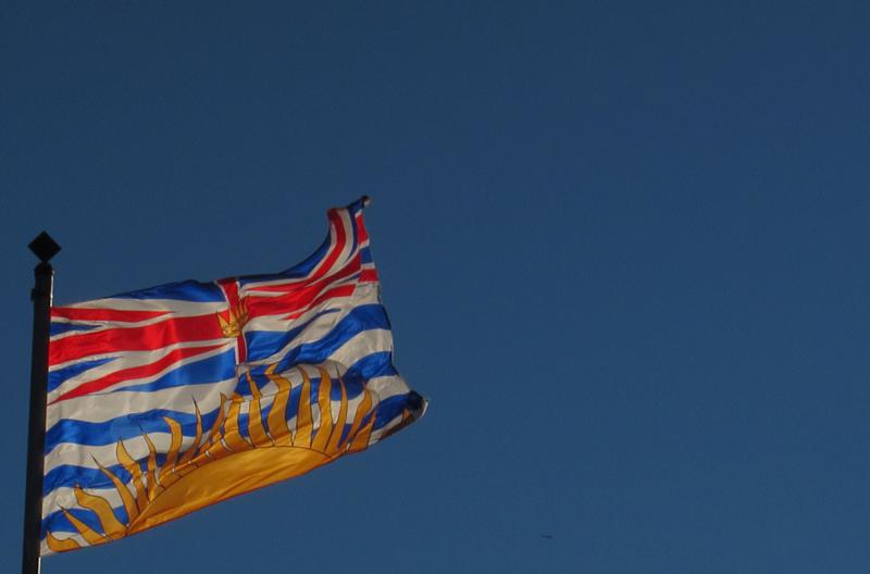 Fringe Benefits? Fifteen Other BC Parties that Want Your Vote