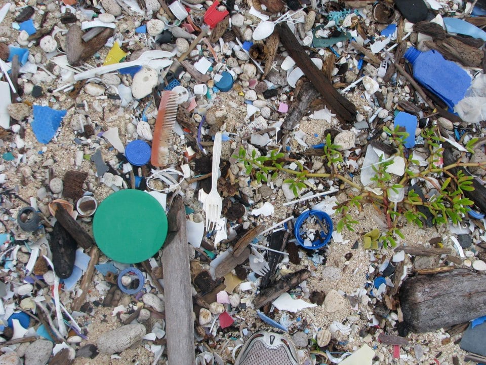 plastic-garbage-ocean.jpg