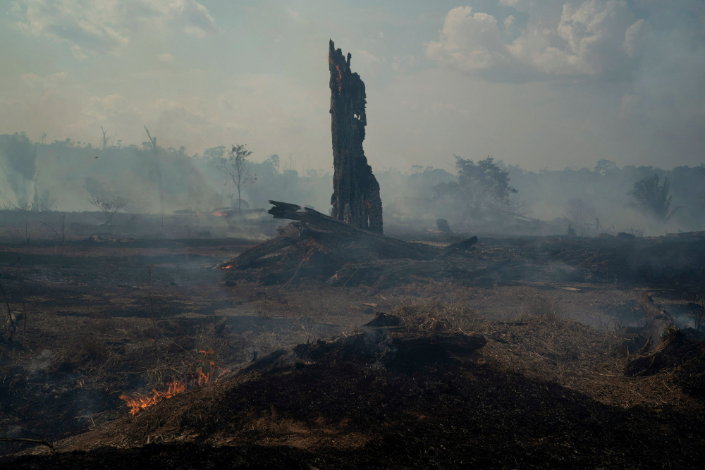 AmazonForestFire.jpg