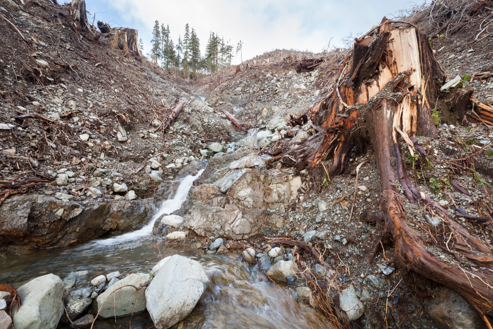 Klanawa-Valley-Creek-Logged.jpg