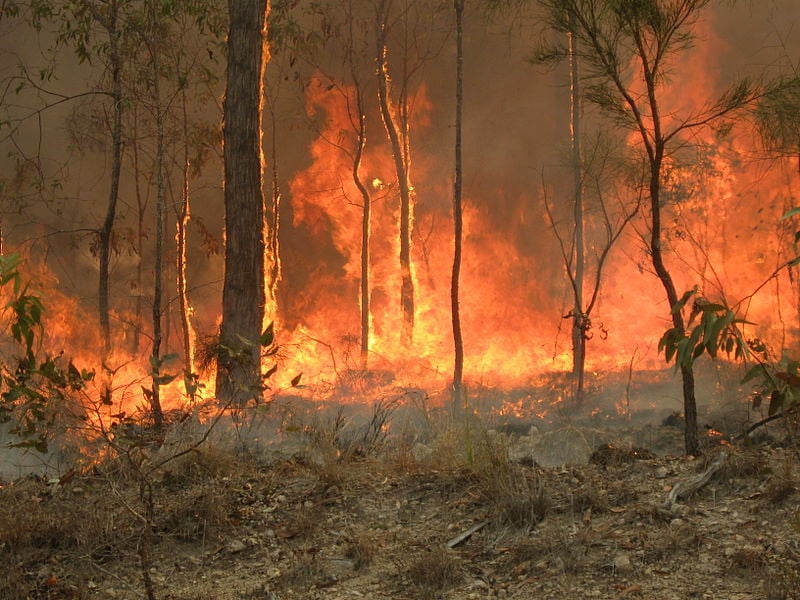 800px-Bush_fire_at_Captain_Creek_central_Queensland_Australia..jpg
