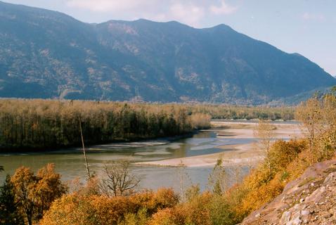 Heart of the Fraser Should Be Named ‘Ecologically Significant’