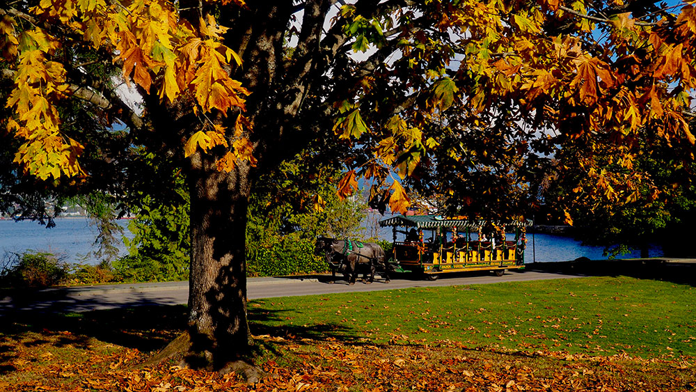 StanleyParkHorseCarriage.jpg
