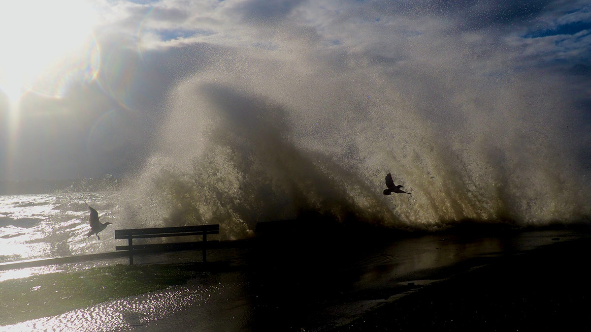 851px version of VancouverSeawallFlood1.jpg