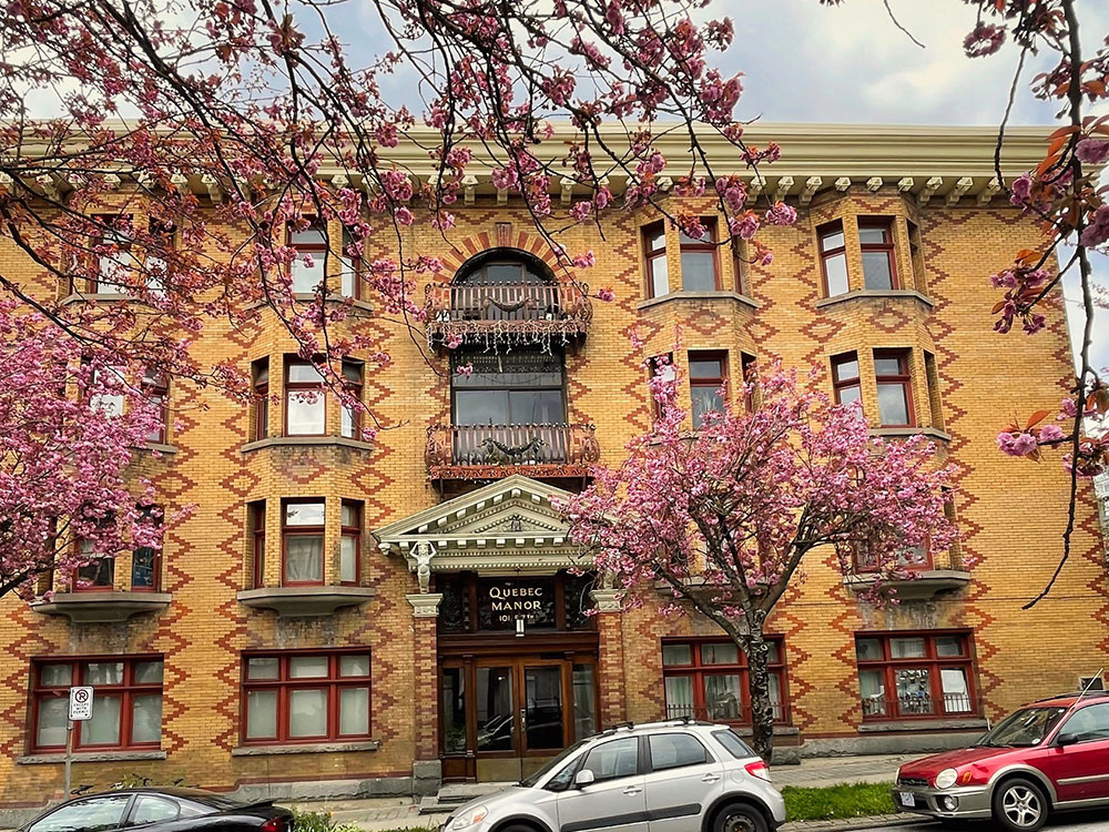 A four-storey brick apartment building walkup stands majestically with dark cherry blossom trees in the foreground.