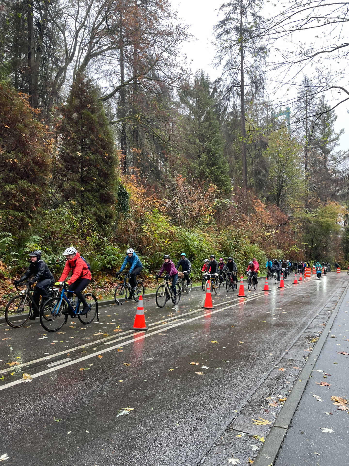 A large group of cyclists in colourful, cold-weather rain gear ride towards the camera to the left of the frame on the Stanley Park Bike Lane, a protected lane that cuts through the park. Red pylons dot their way. The street is wet and covered with fallen maple leaves. Tall stands of trees line their route. The sky is white. 