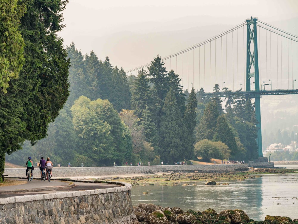 A view of the Stanley Park seawall as it winds along the water near the Lions Gate Bridge. In the foreground are three cyclists biking along a cement bike path to the left of the frame. Most of the frame is occupied by a wide view of the green architecture and cable wires of the Lions Gate Bridge, with cyclists riding along a seawall bike path along a crop of trees near the bridge. The water is grey, reflecting the misty sky.