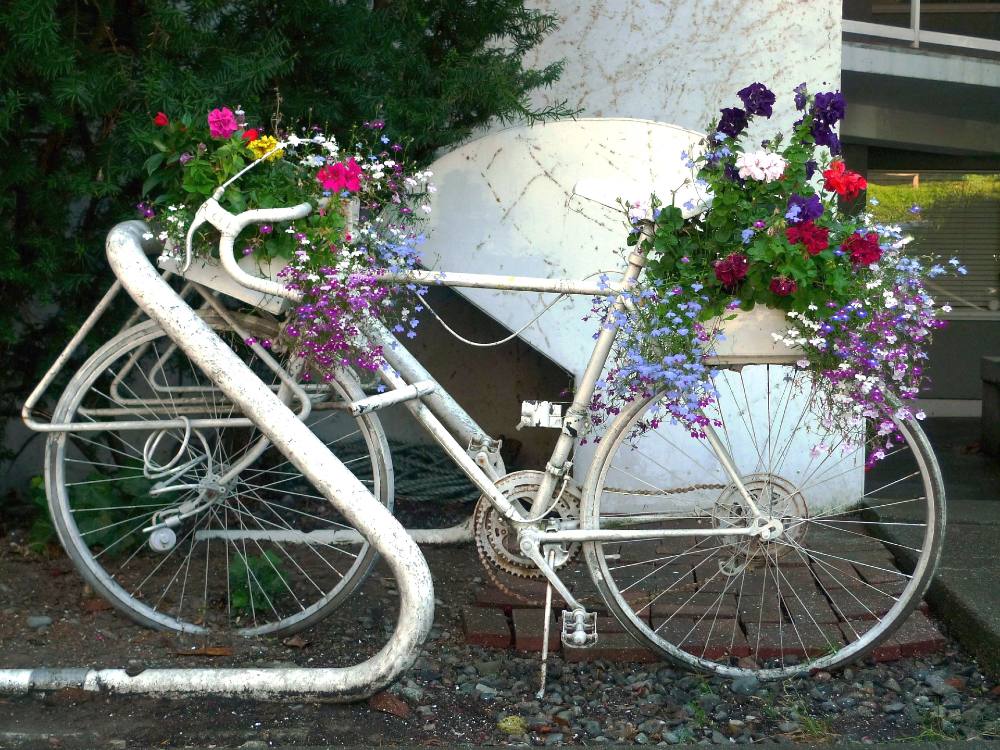 A bicycle painted white is locked to a bike rack, also painted white. Its front and back baskets are abundant with colourful flowers.