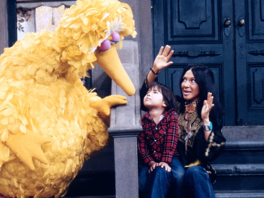 A still from a late 1970s episode of 'Sesame Street.' Big Bird is on the left. On the right, Buffy Sainte-Marie sits with a child on the steps outside a brownstone.