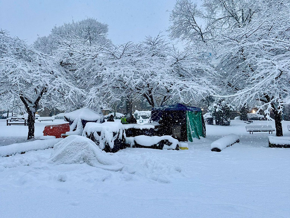 A small collection of tents and shelter structures are clustered together under a stand of deciduous trees in the snow. Around them are picnic tables and park benches. White snowflakes are falling across the frame.