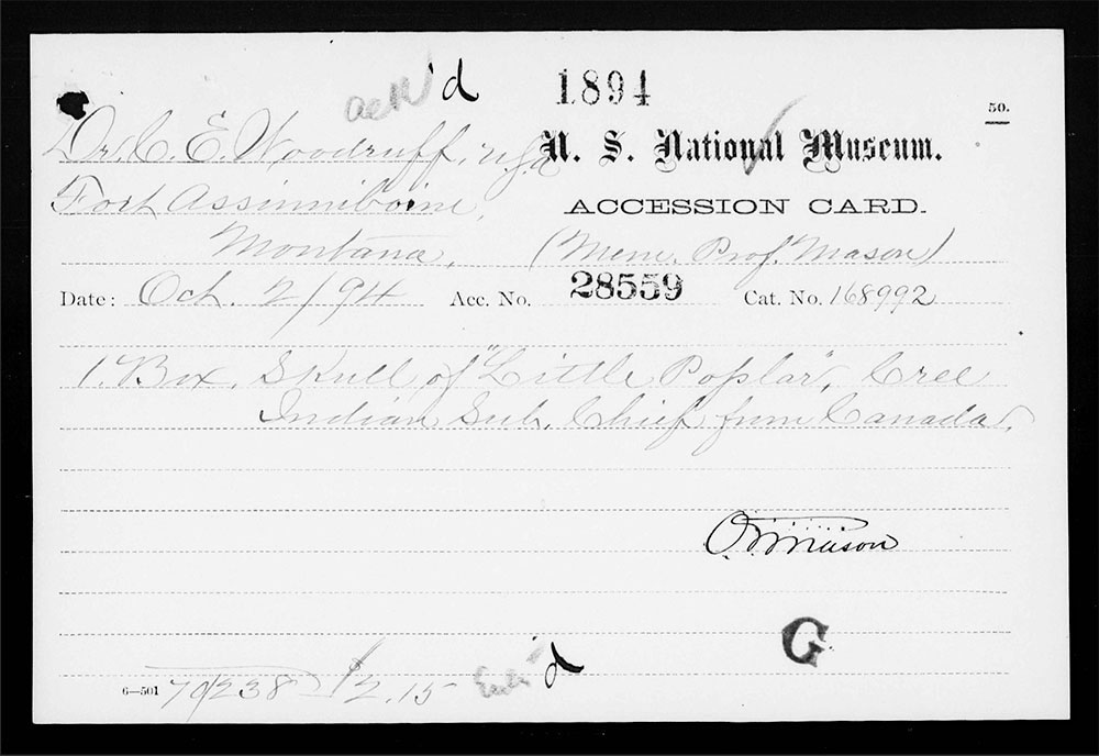 A black border surrounds white stylized and handwritten text on an archival document from 1894.
